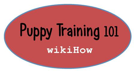 training.jpg